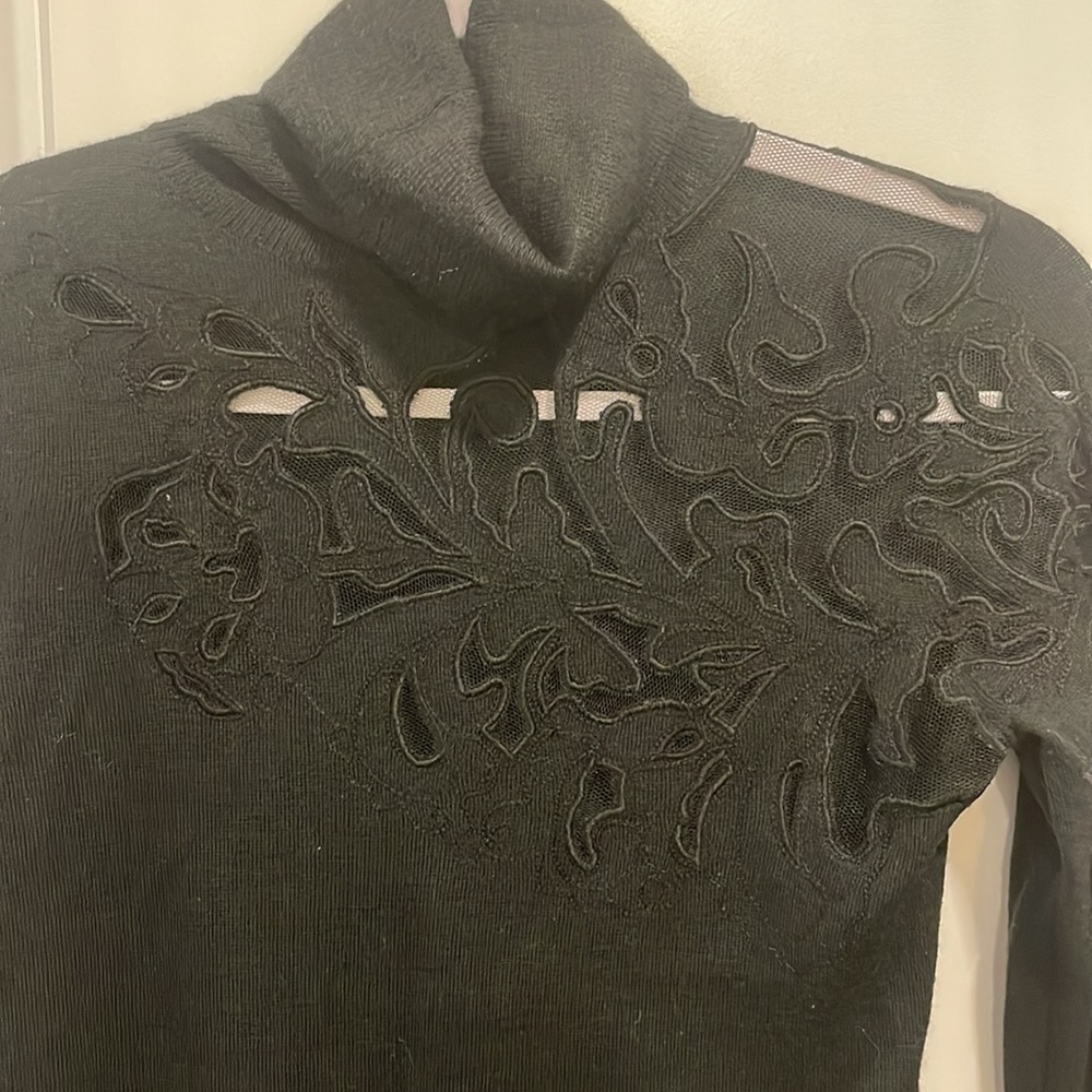 Express Merino wool turtle neck